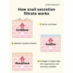 COSRX Advanced Snail 92 All In One Cream - Image 8